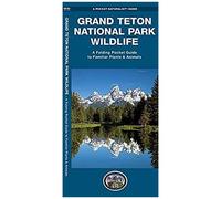 Grand Teton National Park Wildlife