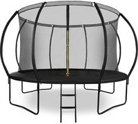 Grand trampoline de jardin 366 cm avec échelle et filet de sécurité pour enfants