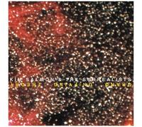 Kim Salmon & the Surrealists - Grand Unifying Theory [Import]