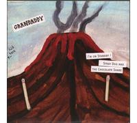 Grandaddy - Stray Dog and the Chocolate... [Vinyl Single]