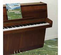 The Sophtware Slump on a Wooden Piano