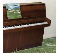 The Sophtware Slump On A Wooden Piano Vinyle