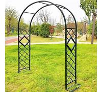 Grande arche de jardin en métal for plantes grimpantes, support 2,2 x 2,3 m, noir, idéale for jardin, pelouse, patio, cour, décoration de mariage, arches de roses for décoration de jardin(Rose,1.4*2.3