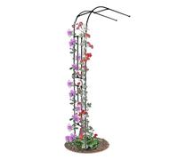 Grande arche murale de jardin - Arche de mariage en acier robuste pour jardin, terrasse, pergola, treillis - Décoration extérieure pour grimper les vignes et les raisins (taille : 240 x 240 x 40 cm)