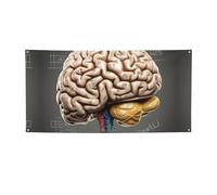 Grande bannière « cerveau humain » - Toile de fond avec œillets - Décoration de fête - Pour intérieur et extérieur - Bannière pour événement, anniversaire - Taille M