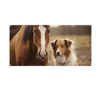 Grande bannière de fête Collie Dog And Horse Togetherb - 180 x 90 cm - À suspendre au mur - Bannière de fond pour fête d'anniversaire, extérieur et intérieur