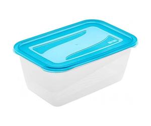 Grande Boîte de conservation et congélation 4,3 litres