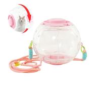Grande Boule Hamster Grand Jouet De Course Silencieux Portable Transparent