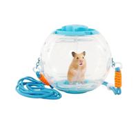 Grande Boule Hamster Grand Jouet De Course Silencieux Portable Transparent