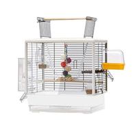 Grande cage à oiseaux décorative transparente - Cage de transport d'oiseaux de luxe carrée pour plusieurs petits oiseaux - Facile à transporter