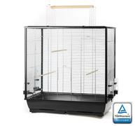 Grande Cage à Oiseaux Perruche Canaris Grande Perruche Avec Patio