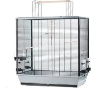 Grande cage à oiseaux Perruche ondulée Canaris Grande perruche avec siège en plein air et accessoires