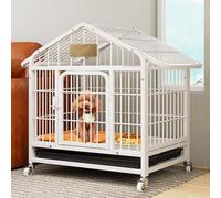 Grande cage d'intérieur pour chats, lapins et chiots - Enclos métalliques amovibles, cage à une couche pour petits animaux