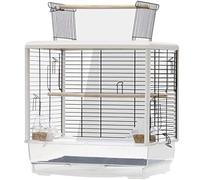 Grande Cage Transparente pour Perroquet, Cage À Oiseaux Décorative De Jardin, Nid avec Mangeoire Et Support en Bois, Volière en Acier Inoxydable Facile À Monter.(B)