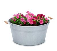 Grande cuvette en zinc avec poignées en bois 50 x 25 cm - Pot de fleurs résistant aux intempéries pour l'extérieur, jardinière, pot en argent - Bac en métal avec poignée idéal comme fontaine, fontaine