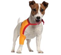 GRANDE FINALE Manchon de Protection d'épaule, récupération Post-Chirurgie, Anti-léchage : Chien Chat Lapin - Patte Droite