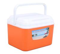 Grande Glacière Isolée de 5 L, Glacière Portable pour Voyage, Camping, Pique-Nique, Poisson, Glacière Isolée, étui Rigide pour Garder Les Aliments Frais et Les Boissons au Frais