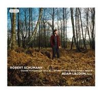 Schumann : Grande Humoresque, Sonate n° 1