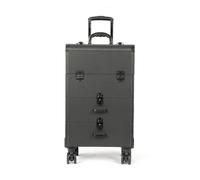 Grande mallette cosmétique professionnelle portable avec serrure à chiffres et barre de traction, boîte de rangement pour maquillage à la maison et en voyage (B)