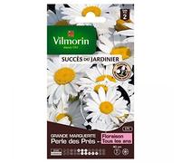 VILMORIN-Graines de Grande Marguerite Perle des Prés Vilmorin - graines à semer