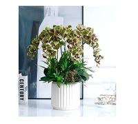 Grande pièce maîtresse de table à floral artificiel, orchidées fraîches bouquets floraux Bonsaï TV Cabinet décor simulation phalaenopsis fleurs arrangement pour la maison / le salon / bureau pour la