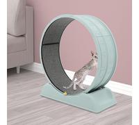 Grande roue d'exercice pour chat - Diamètre : 80 cm - Silencieuse - Avec tapis de protection contre les rayures - Roue libre pour l'entraînement en intérieur - Fermeture de sécurité et baguette de jeu