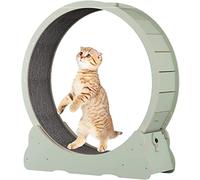 Grande roue d'exercice pour chat - Grand tapis de course pour exercice en intérieur - Roue ronde pour chat avec piste de tapis pour animaux de compagnie de petite et moyenne taille