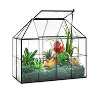 Grande serre en verre pour plantes succulentes avec couvercle géométrique