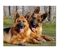 Grande Taille Diamant Peinture 5D DIY Diamond Painting Foret Complet Kits Round drill Chien De Race Berger Allemand 25x30cm Cristal Strass Point de Croix Diamant Broderie Arts Craft Maison Salon Décor