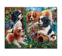 Grande Taille Diamant Peinture 5D DIY Diamond Painting Foret Complet Kits Square drill Chien Mignon 60x80cm Cristal Strass Point de Croix Diamant Broderie Arts Craft Maison Salon Décor (24x32in)