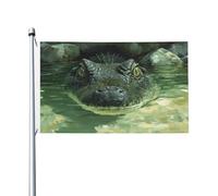 Grande tête de crocodile avec œillets pour décoration d'intérieur ou d'extérieur 91 x 152 cm
