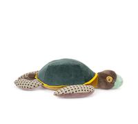 Grande tortue Tout autour du monde