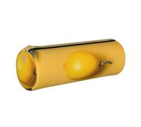 Grande trousse à crayons ronde en cuir imprimé citron jaune pour hommes, femmes, adolescents, étudiants, blanc, Taille unique, Cartable