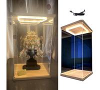 Grande Vitrine en Acrylique avec éclairage - 10, 15, 20, 25, 30, 35, 40, 50, 60 Cm De Haut, Grande Armoire De Rangement avec Porte., One Color, 15x10x15cm/6x4x6in