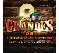 Grandes De La Banda Y Norteno: H Grandes De La Banda Y Norteno: Hits De Ro (CD)
