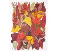 Grandes feuilles pressées séchées en vrac pour travaux manuels, véritables fleurs naturelles sèches pour moule en résine, décoration de gâteau, coques de téléphone (feuilles d'automne)