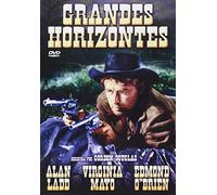 Grandes Horizontes --- IMPORT ZONE 2 ---