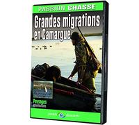 Grandes MIGRATIONS en CAMARGUE