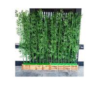Grandes plantes artificielles en bambou pour intimité extérieure - Faux arbres parfaits pour aménagement paysager, balcon, terrasse, jardin, cour (16 x 1,5 m)