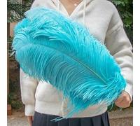 Grandes Plumes d'autruche moelleuses, 10 pièces, Plumes d'autruche Naturelles 50-55CM pour centres de Table de Mariage, décoration de fête de Carnaval