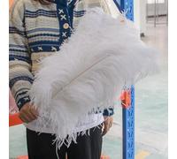 Grandes Plumes d'autruche moelleuses, 10 pièces, Plumes d'autruche Naturelles 50-55CM pour centres de Table de Mariage, décoration de fête de Carnaval