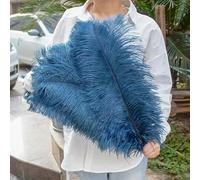 Grandes Plumes d'autruche moelleuses, 10 pièces, Plumes d'autruche Naturelles 50-55CM pour centres de Table de Mariage, décoration de fête de Carnaval