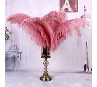 Grandes plumes d'autruche teintées - Décoration de fête de mariage - Décoration de carnaval - Décoration de table - 40-45 cm, Plume, chiné, 5 pièces
