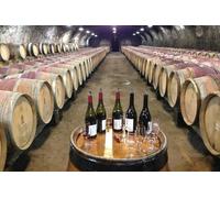 Grands Crus et châteaux du Beaujolais - Après-midi - Au départ de Lyon en excursions en petit groupe