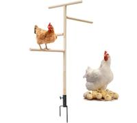 Grands jouets de poulet pour poulailler, grands jouets pour volaille pour l'extérieur, perche de la branche d'entraînement des parcs pour avec Terr
