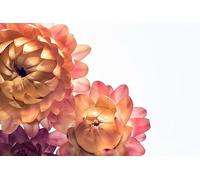 Grands pétales Multicouches - 300 Jeux de Puzzles en Bois pour Toute la Famille : Une variété de Jeux de Puzzle pour développer Les compétences (14+)