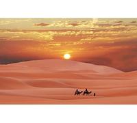 Grands Puzzles pour Adultes 500 pièces, beauté Naturelle, Plage de Sable, désert du Sahara, Maroc, Caravane dans Le désert du Sahara 52x38CM