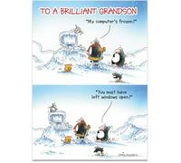 Grandson Humorous Christmas Card from the Eric the Penguin Range -Hotmail, Frozen Computer - for Him