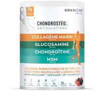 Granions Chondrostéo+ Collagène Marin Goût Fruits Des Bois Pot 280g