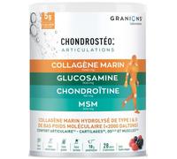 Chondrostéo+ Collagène Marin Confort Articulaire Goût Fruits des Bois Poudre 280g